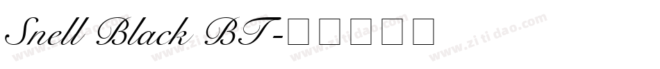 Snell Black BT字体转换